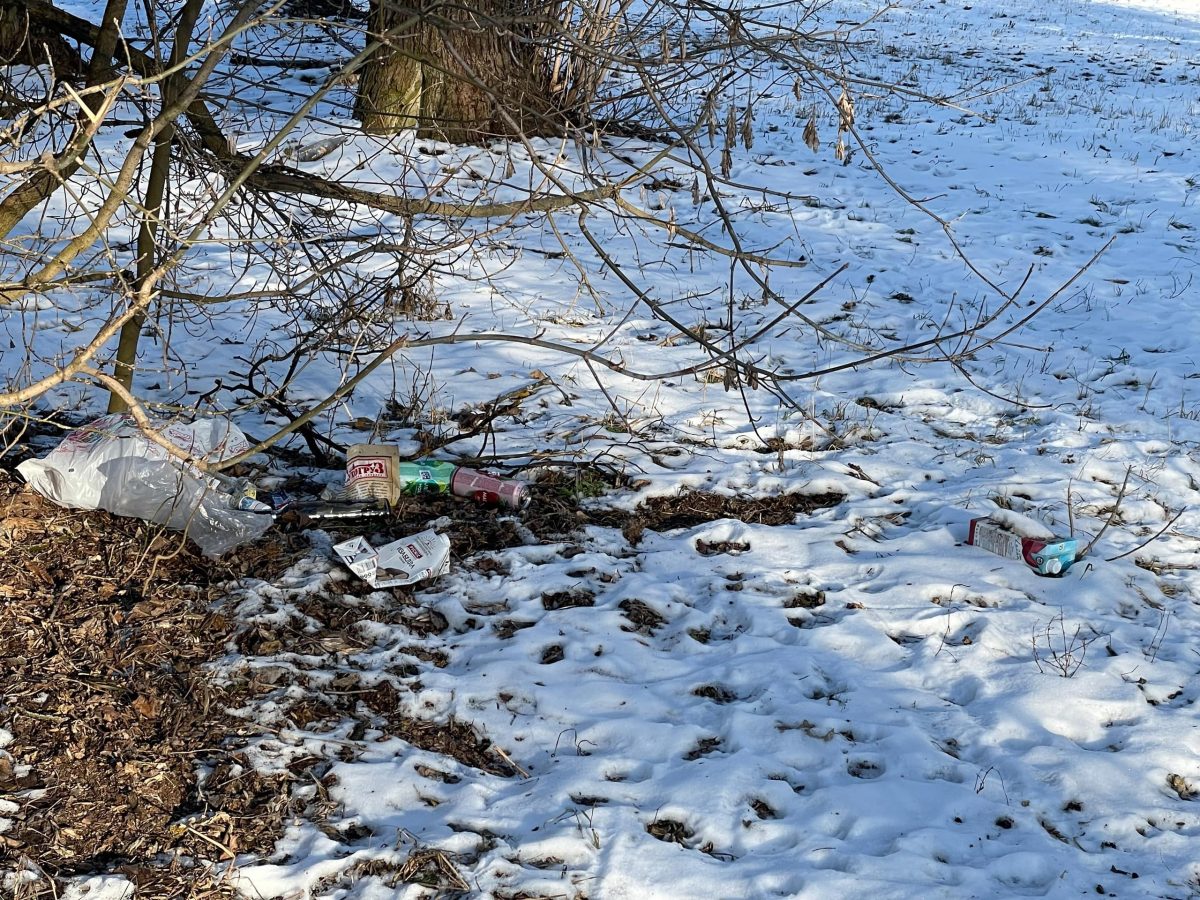 Жители Тверской области сфотографировали первые "подснежники"