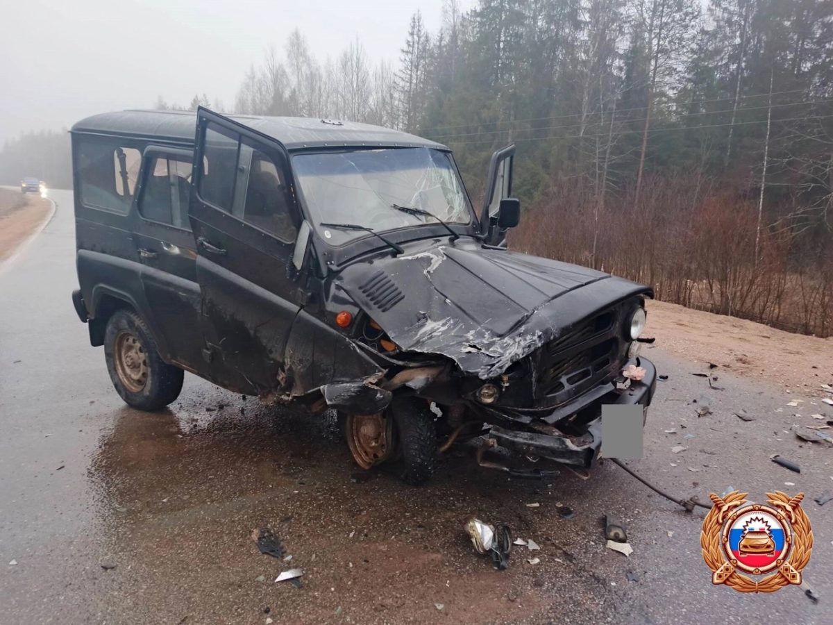 Появились подробности ДТП с пострадавшими детьми в Тверской области