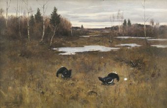 Жителей Тверской области приглашают записаться на тетеревиные и глухариные тока Жителей Тверской области приглашают записаться на тетеревиные и глухариные тока