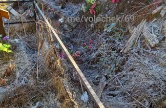 Жители Тверской области завалили кладбище мусором Жители Тверской области завалили кладбище мусором