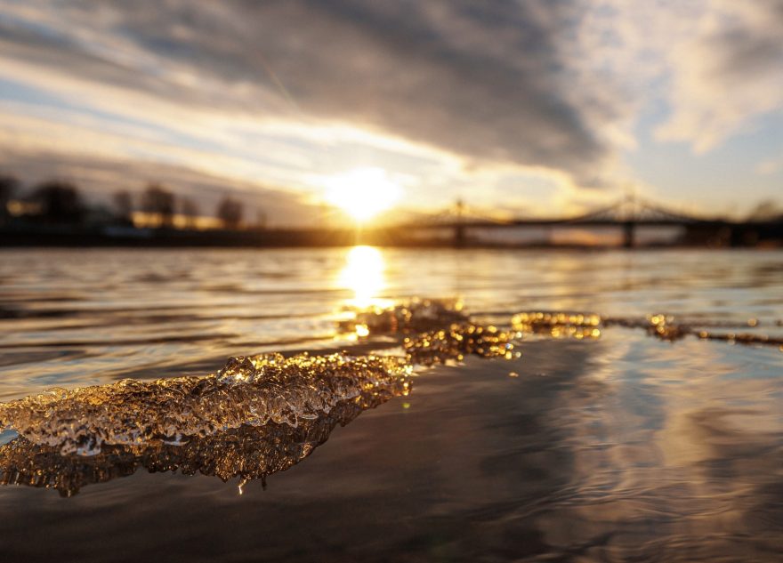 В Тверскую область идет раннее солнечное лето