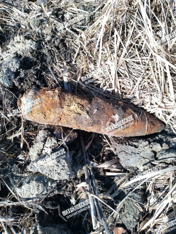 На заброшенных дачах в Тверской области выкопали опасный снаряд