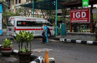 Врач рассказал, чем смертельно опасен вирус денге Врач рассказал, чем смертельно опасен вирус денге