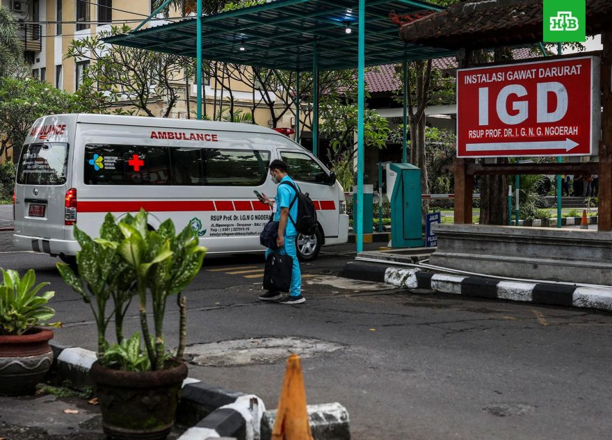 Врач рассказал, чем смертельно опасен вирус денге