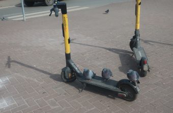 В Твери были замечены пернатые самокатчики В Твери были замечены пернатые самокатчики