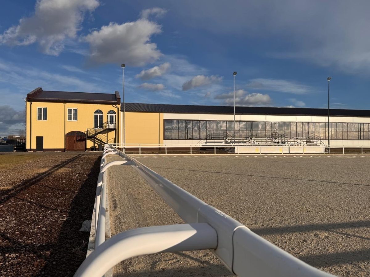 В Тверской области создали конный клуб с эко-отелем