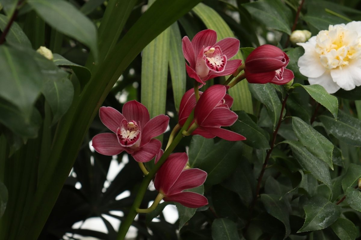 В Твери можно увидеть зацелованного Купидона