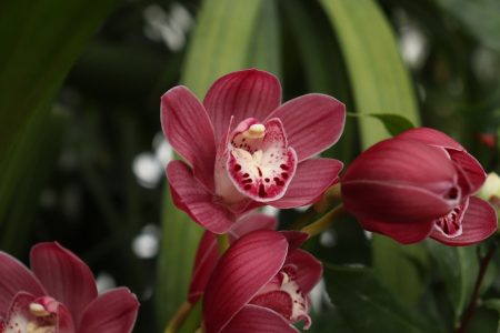 В Твери можно увидеть зацелованного Купидона