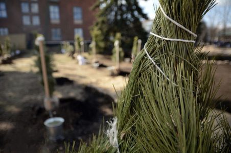 Город-феникс Донецк возрождается и готовится к 80-летию Победы Город-феникс Донецк возрождается и готовится к 80-летию Победы