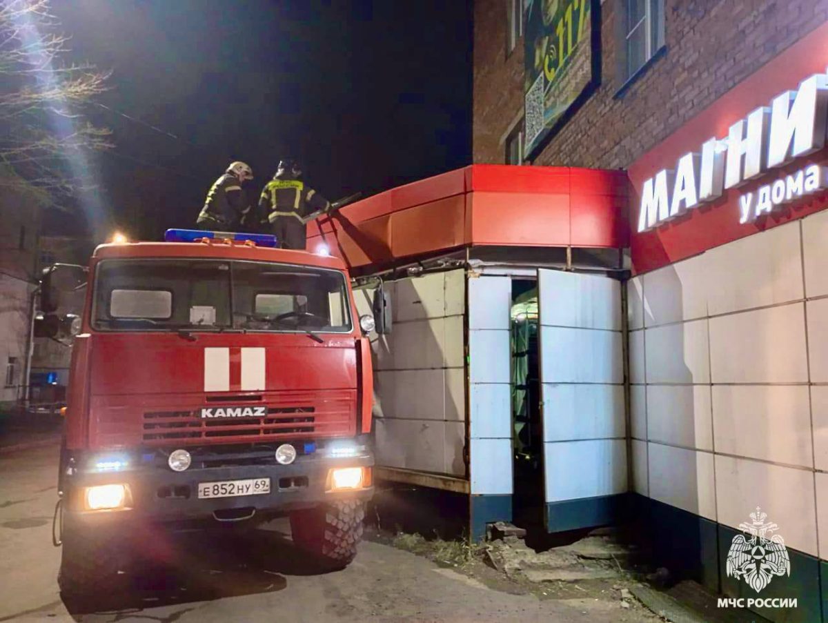 В Тверской области пожарные спасли кота, застрявшего на крыше