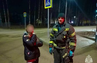 В Тверской области пожарные спасли кота, застрявшего на крыше В Тверской области пожарные спасли кота, застрявшего на крыше