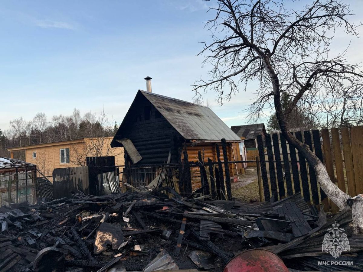 В Тверской области дотла сгорела баня