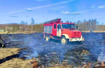 Деревню под Тверью спасли от пожара
