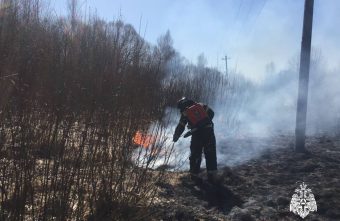За пал травы жители Тверской области заплатят большие штрафы За пал травы жители Тверской области заплатят большие штрафы