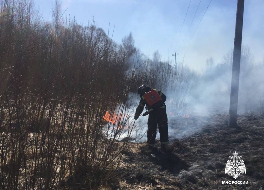 За пал травы жители Тверской области заплатят большие штрафы