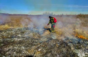 За неделю в Тверской области пожарные 44 раза выезжали тушить загоревшуюся растительность