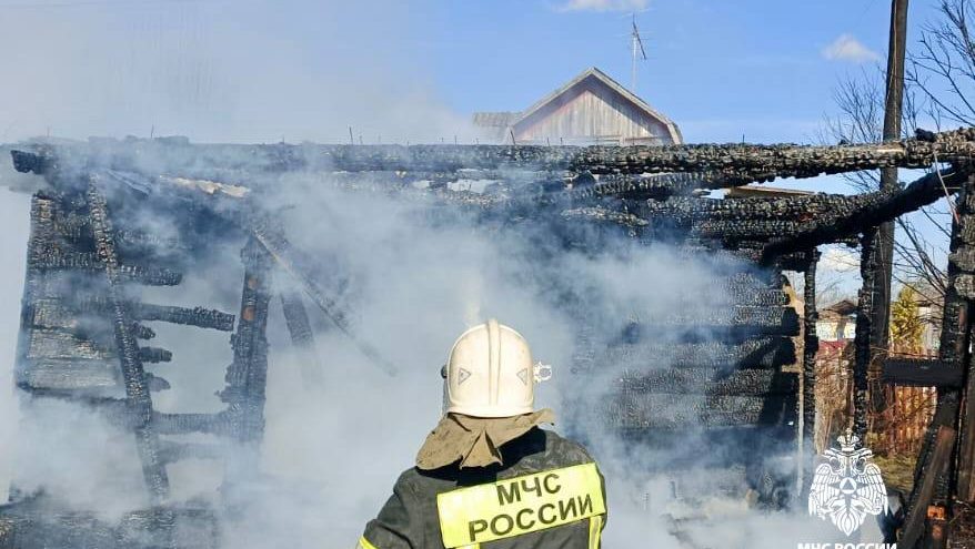 Огонь уничтожил дачный дом в Тверской области
