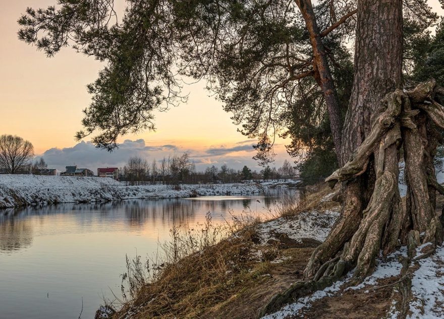 После аномального тепла в Тверскую область вернутся морозы