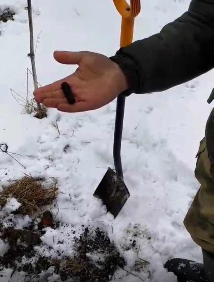 Поисковики нашли в Тверской области медальон выжившего солдата