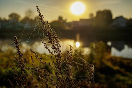 Синоптики изменили прогноз на апрель в Тверской области Синоптики изменили прогноз на апрель в Тверской области