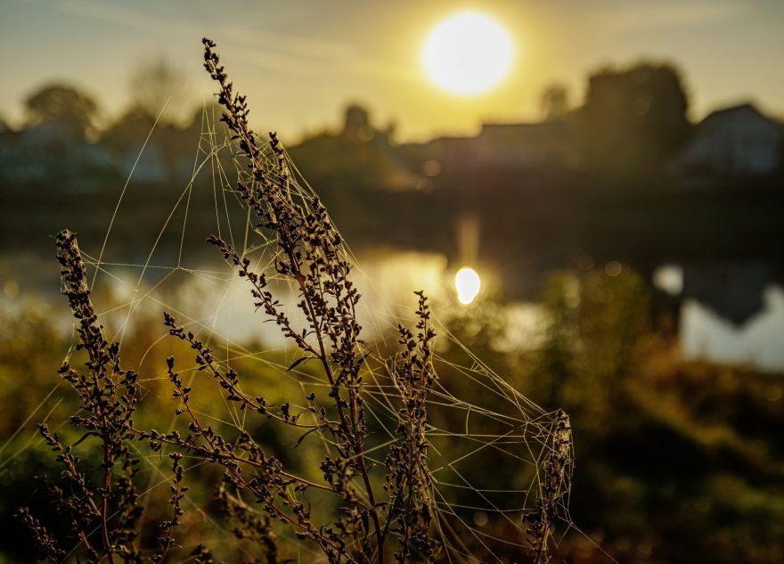 Синоптики изменили прогноз на апрель в Тверской области