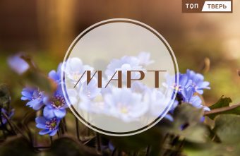 Весеннее обновление: в марте вступили в силу законы и правила  