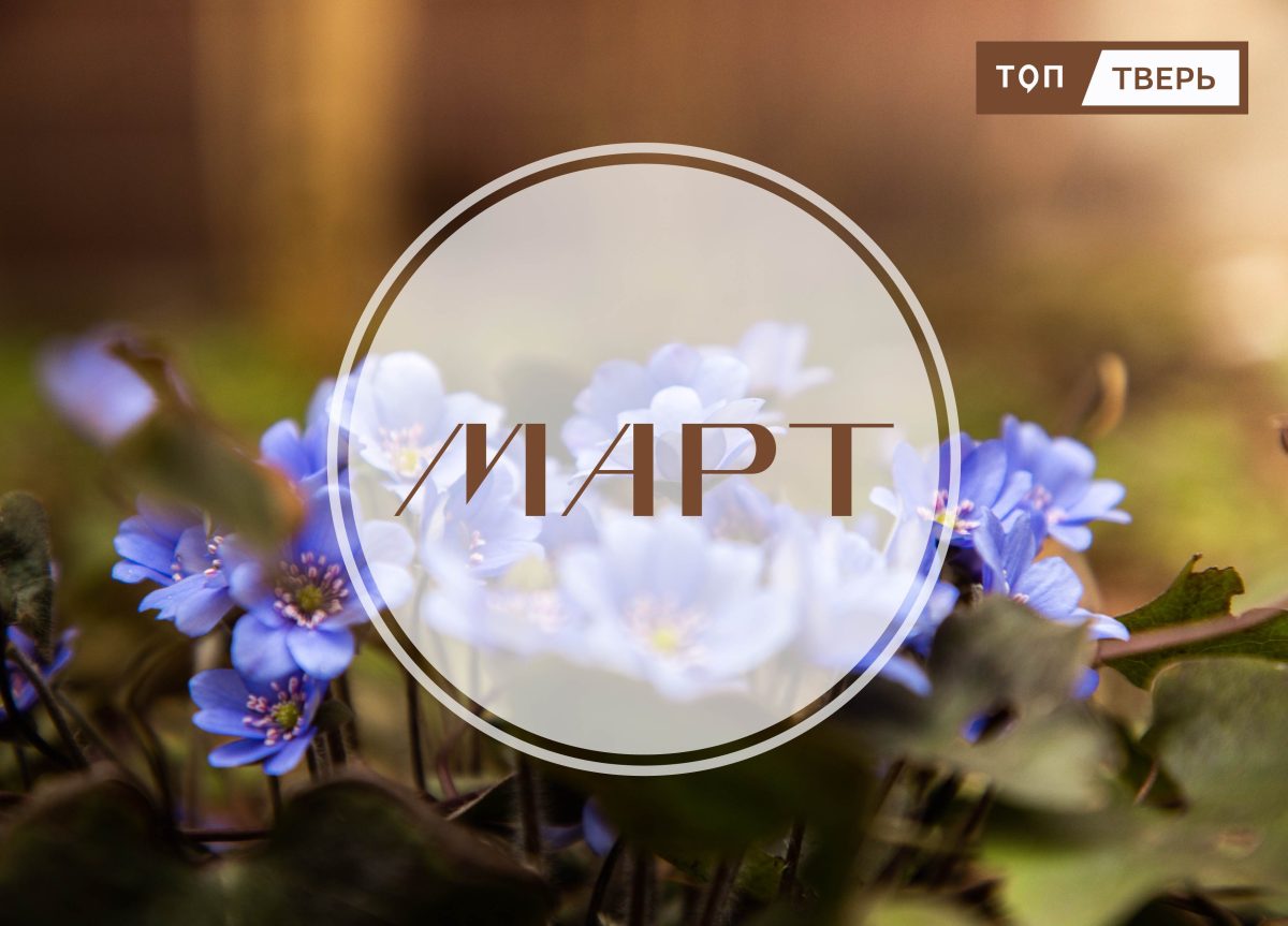 Весеннее обновление: в марте вступили в силу законы и правила  