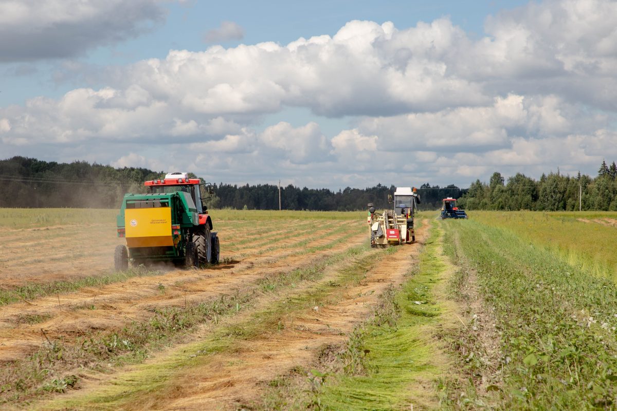 Сельхозпроизводителям Тверской области компенсируют стоимость жилья для работников