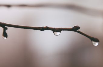 Погодные сюрпризы ожидают жителей Тверской области в апреле Погодные сюрпризы ожидают жителей Тверской области в апреле