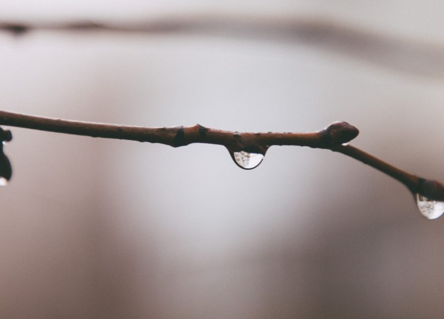 Погодные сюрпризы ожидают жителей Тверской области в апреле