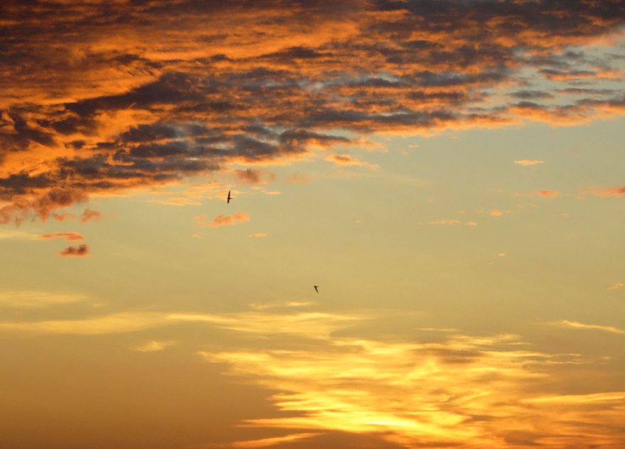 На Тверскую область надвигается магнитная буря