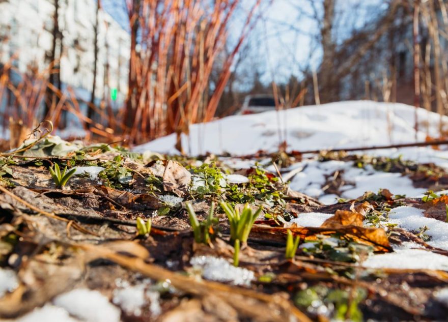 Синоптики изменили прогноз на март в Тверской области