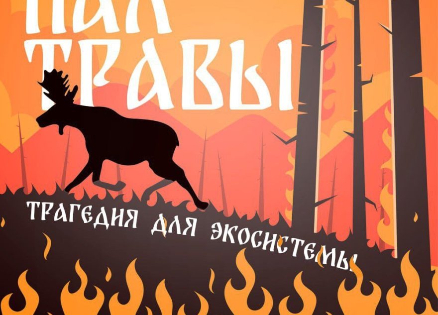 Жителям Верхневолжья напомнили о правилах противопожарной безопасности на дачах Жителям Верхневолжья напомнили о правилах противопожарной безопасности на дачах