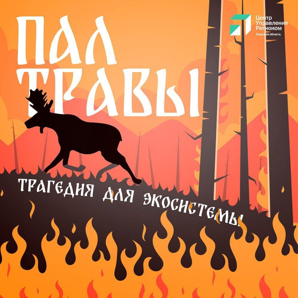 Жителям Верхневолжья напомнили о правилах противопожарной безопасности на дачах