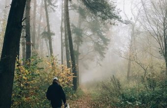 В Тверской области трагически закончились долгие поиски молодого мужчины В Тверской области трагически закончились долгие поиски молодого мужчины