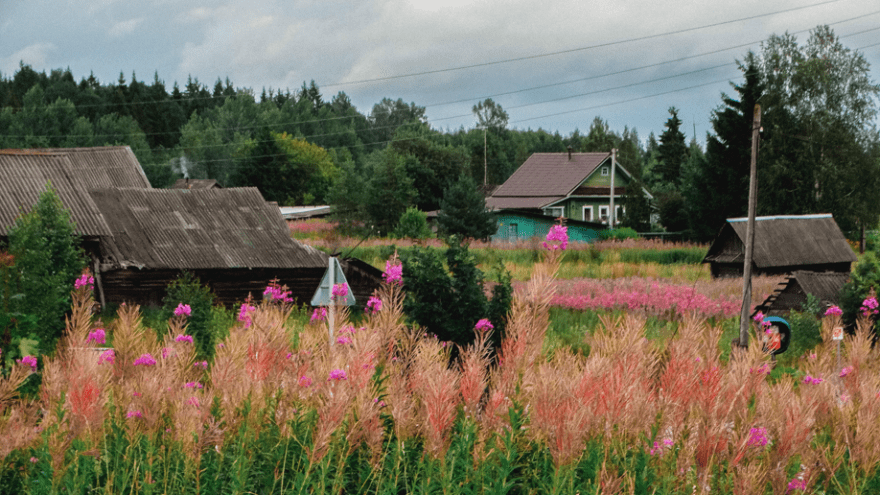Фракция «Единая Россия» вместе с Ассоциацией крестьянских хозяйств усилит поддержку тружеников села