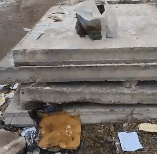 Жители Тверской области намеренно игнорируют мусорные баки