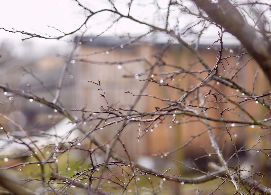 По данным синоптиков, апрель огорчит жителей Тверской области