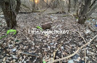 Жители Тверской области объявили мусору войну Жители Тверской области объявили мусору войну