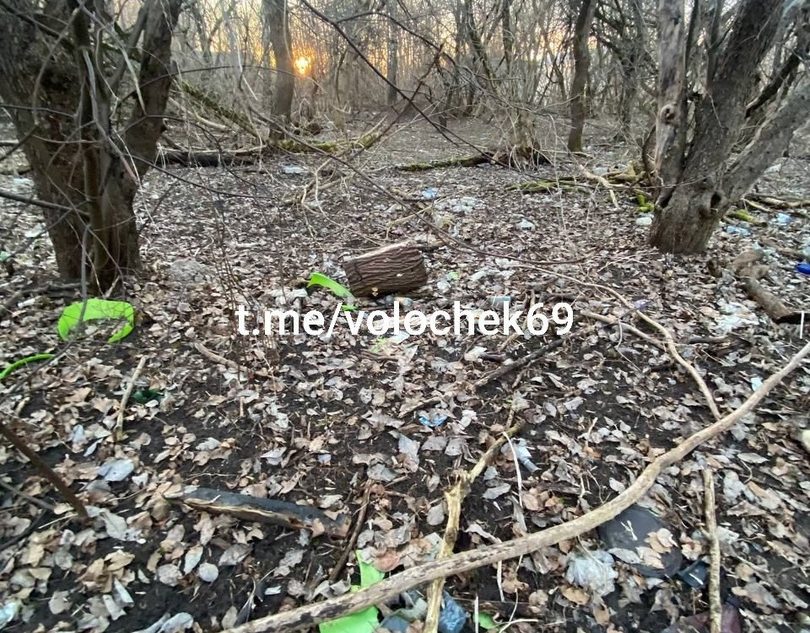 Жители Тверской области объявили мусору войну