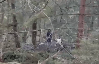 В Тверской области спустя несколько дней нашли тело пропавшей девочки В Тверской области спустя несколько дней нашли тело пропавшей девочки
