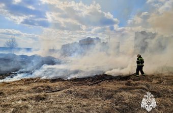 Палы травы снова продолжаются в Тверской области Палы травы снова продолжаются в Тверской области