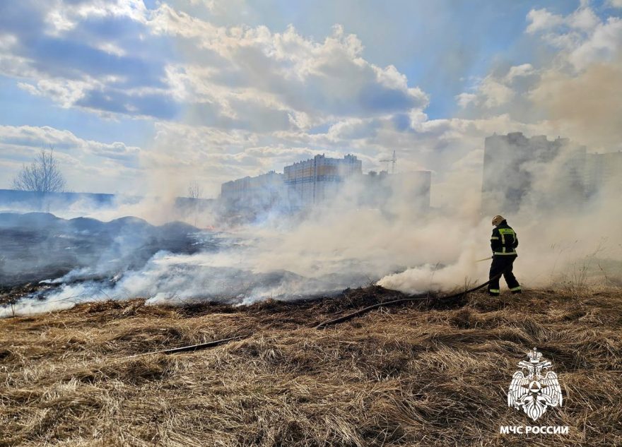 Палы травы снова продолжаются в Тверской области