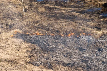 Семья из Тверской области подожгла траву и быстро скрылась Семья из Тверской области подожгла траву и быстро скрылась