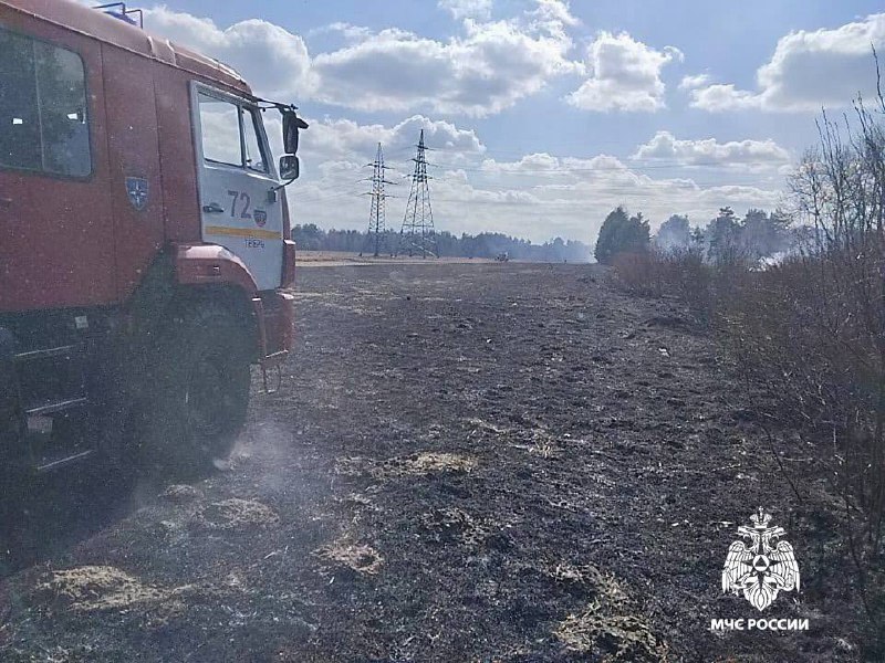 Палы травы снова продолжаются в Тверской области