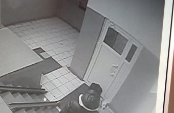 В Тверской области девушка оставила собаку на 6 часов в подъезде без присмотра, что привело к несчастью В Тверской области девушка оставила собаку на 6 часов в подъезде без присмотра, что привело к несчастью