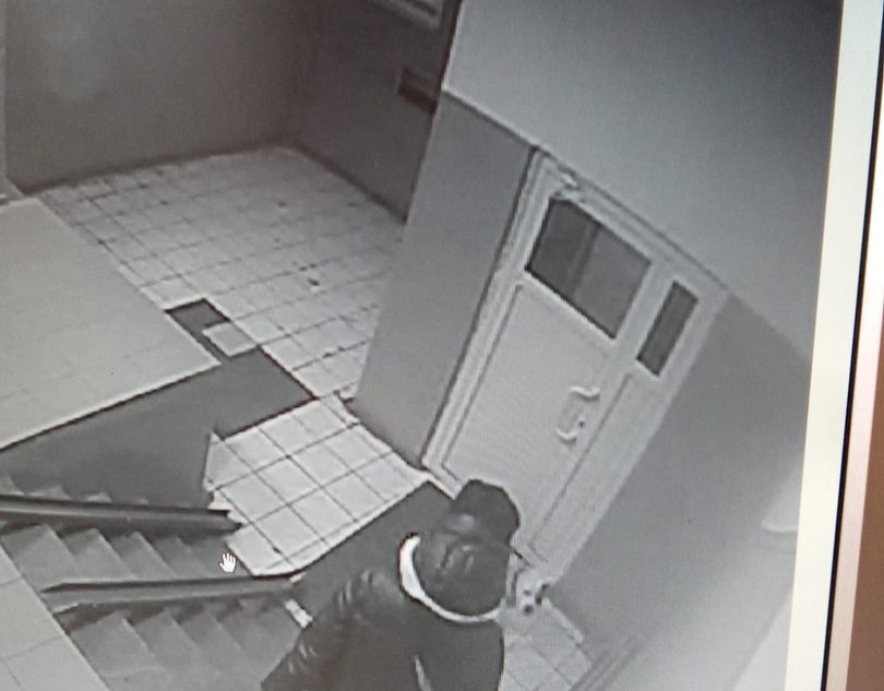 В Тверской области девушка оставила собаку на 6 часов в подъезде без присмотра, что привело к несчастью