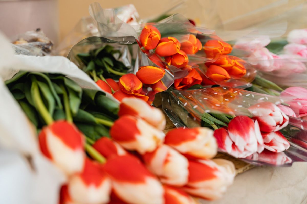 Губернатор Игорь Руденя поздравил со 101-летием Александра Тупицына