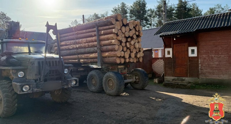 "Черные лесорубы" заготовили в Тверской области больше 1 800 кубических метров древесины
