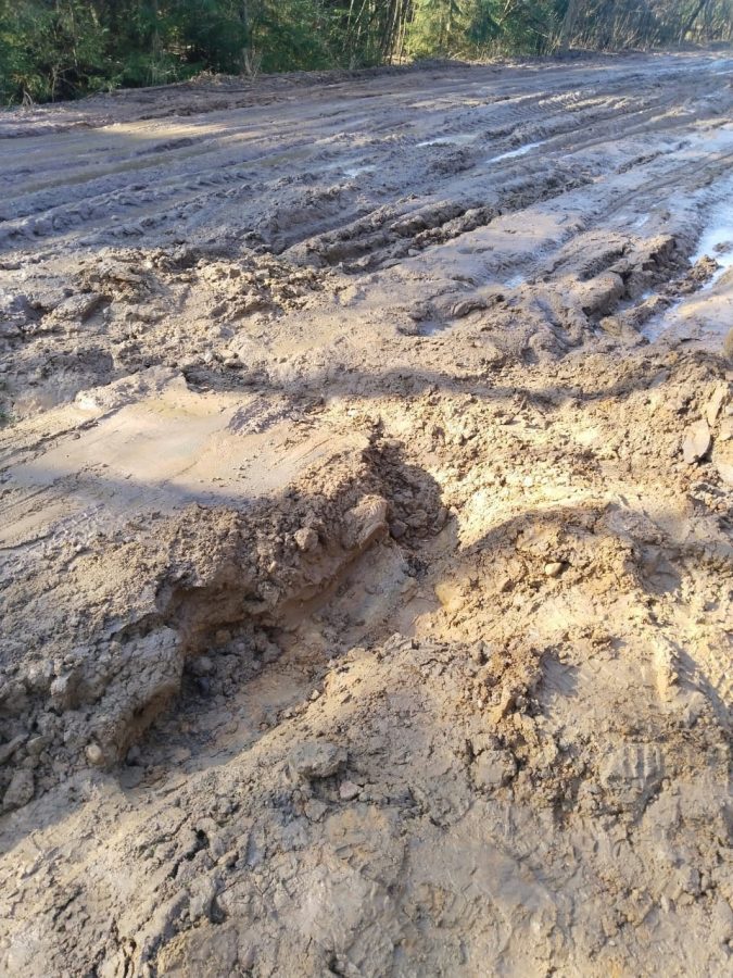 Непроезжая дорога отрезала от мира несколько деревень Тверской области